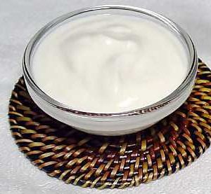 Yogurt Natural bote 5 litros 10% Materia Grasa